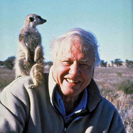 Sir David Attenborough